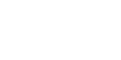 NiDO logo